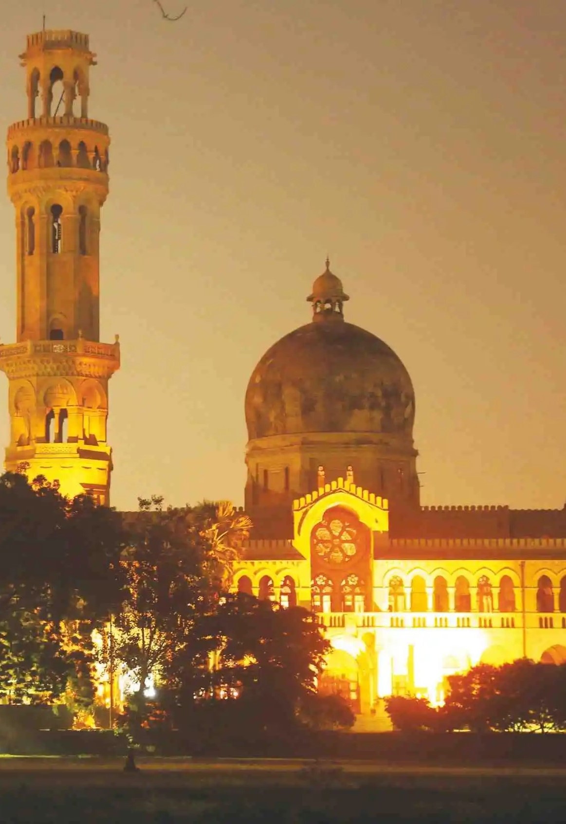 View representing University of Allahabad